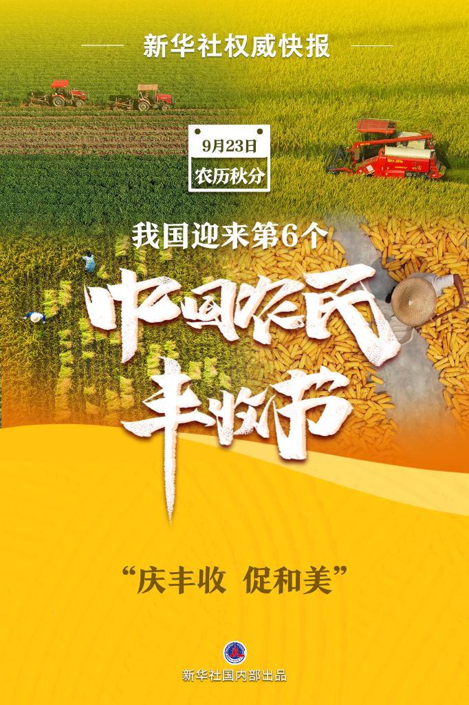 梯子游戏安全网站